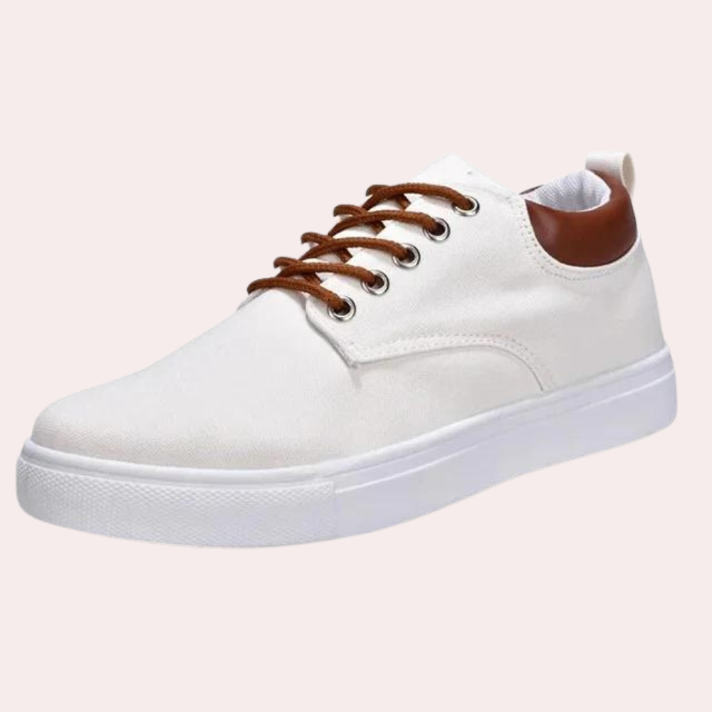 Baskets pour homme automne légères décontractées en toile avec semelle souple Birger